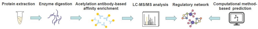 Advancements in Protein Methylation Research